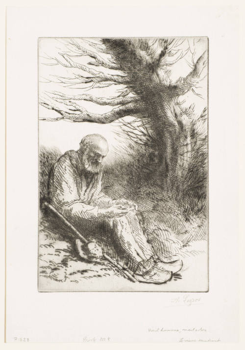 Vieil Homme, Vieil Arbre