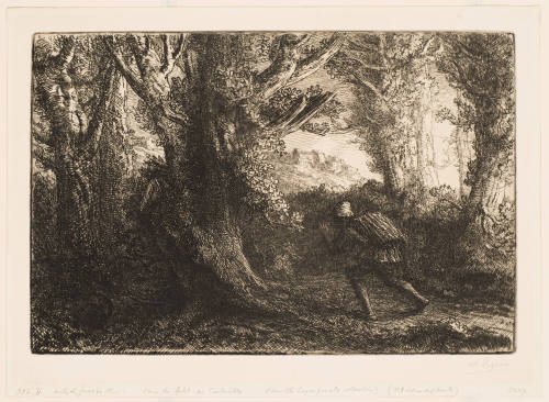 Dans la Foret de Conteville