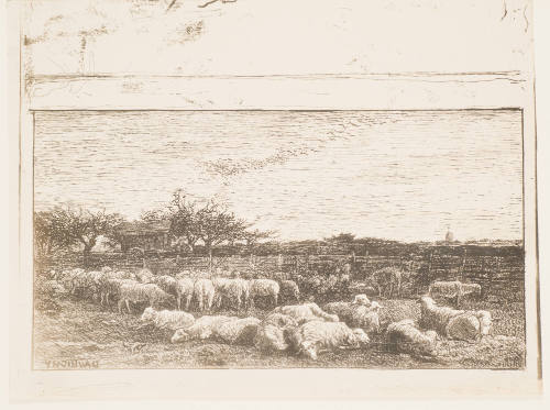 Le Grand Parc à Moutons