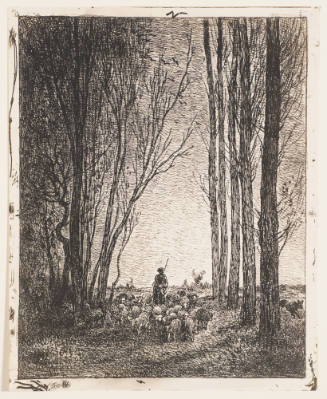 The Return of the Flock [La rentrée du troupeau]