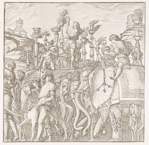 The Elephants