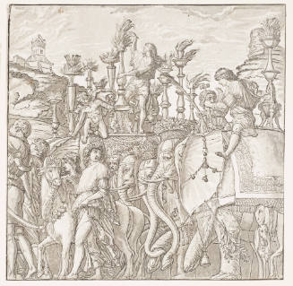 The Elephants