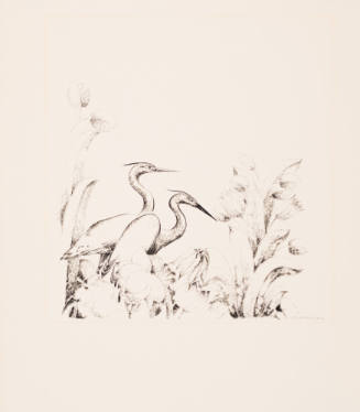 Two Cranes and Flowers