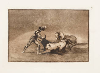 Un Chevalier Espagnol Tue Le Taureau Apres Avoir Perdu Son Cheval