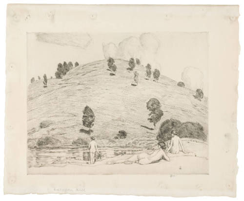Halycon Hill