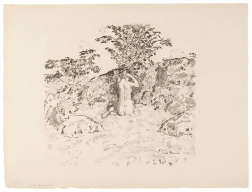 The Wild Cherry Tree