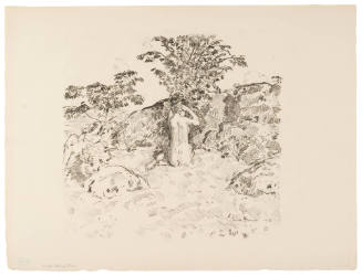 The Wild Cherry Tree