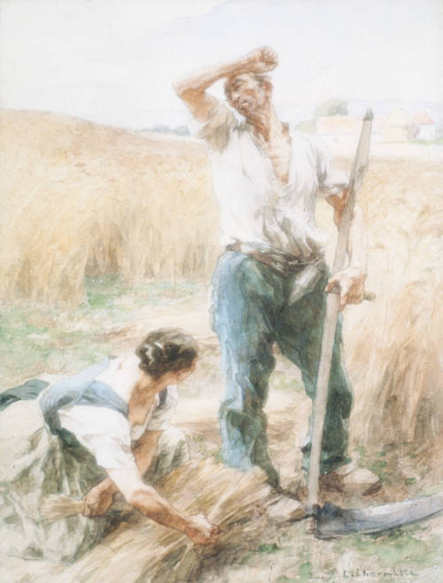 The Harvest