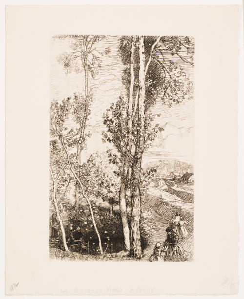 La petite mare