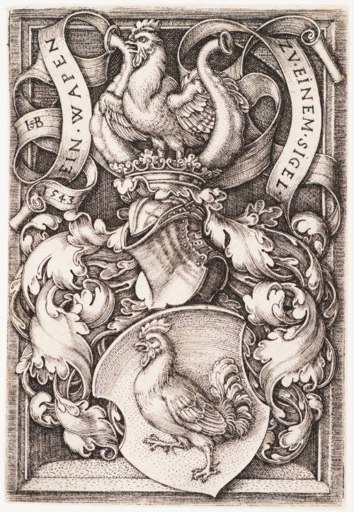 The Coat of Arms with the Cock