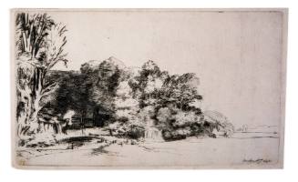 Clump of Trees with a Vista