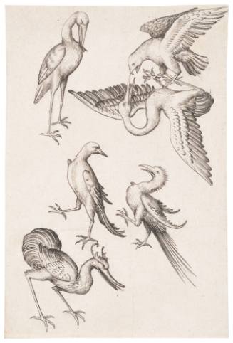 The Six of Birds