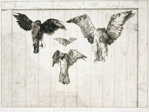 The Top of a Swinging Door[Le Haut d'un battant de porte]