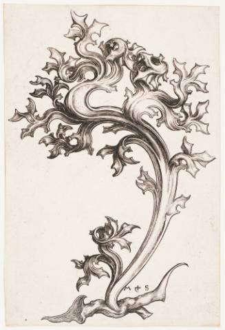 Upright Panel of Foliage Ornament