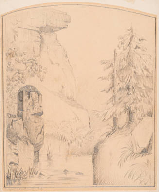 Rocks of Mt. Lookout