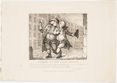 Picturesque Beauties of Boswell