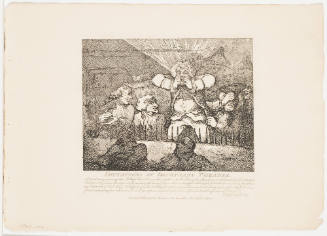 Picturesque Beauties of Boswell