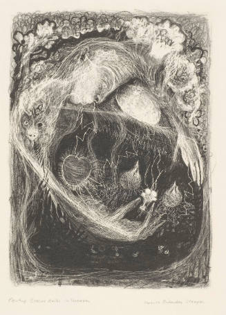 Planting Tulip Bulbs in November