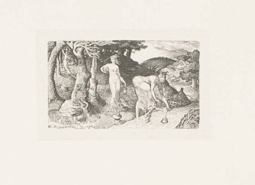 The Brook
