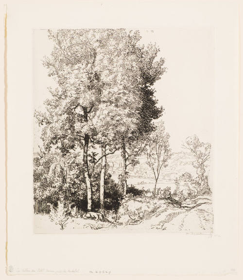 La Vallee du Petit Morin, Pres de Verdelot