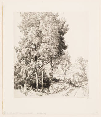 La Vallee du Petit Morin, Pres de Verdelot