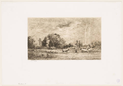 Moonrise [Lever de lune]