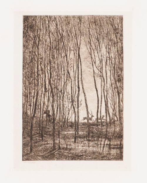 The Deer in the Woods [Les cerfs xous bois]