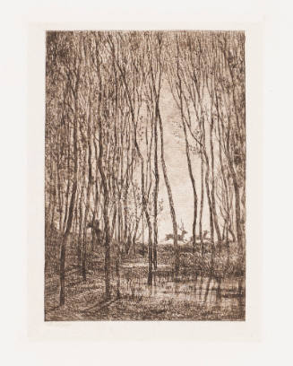 The Deer in the Woods [Les cerfs xous bois]