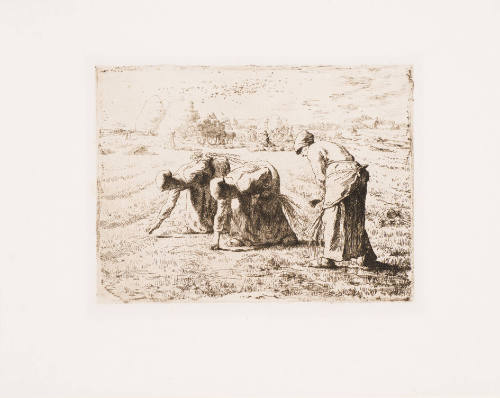 The Gleaners [Les glaneuses]