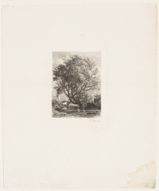 The Willow