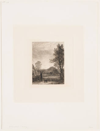 The Skylark