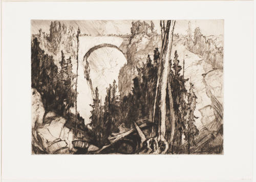An Alpine Bridge