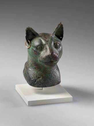 Head of Cat