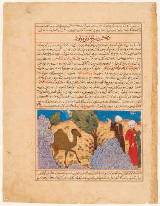 Saleh and the Camel