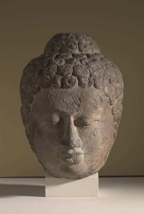 Head of a Buddha