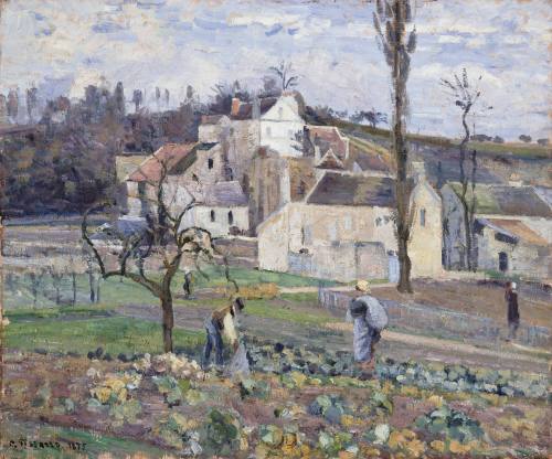 Cabbage Patch Near the Village