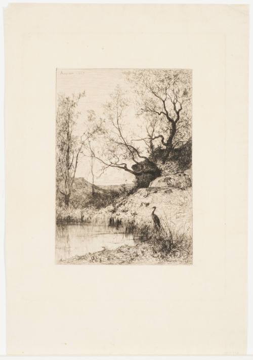 A Pond near Rossillon [Une mare, environs de Rossillon]