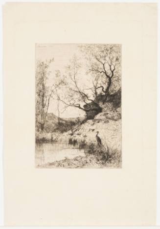 A Pond near Rossillon [Une mare, environs de Rossillon]