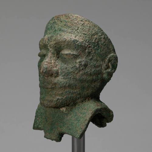 Male Portrait Head