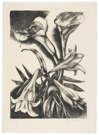 Lilies
