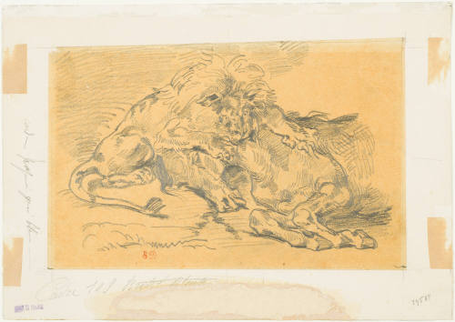 Lion Devouring a Horse
