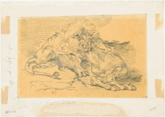 Lion Devouring a Horse