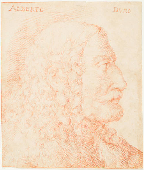 Albrecht DÃ¼rer