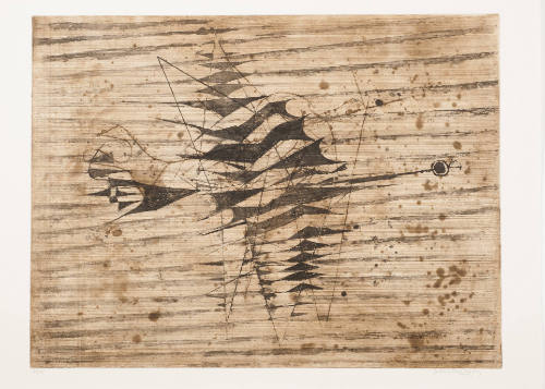 Flight of Birds