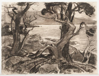 Monterey Peninsula