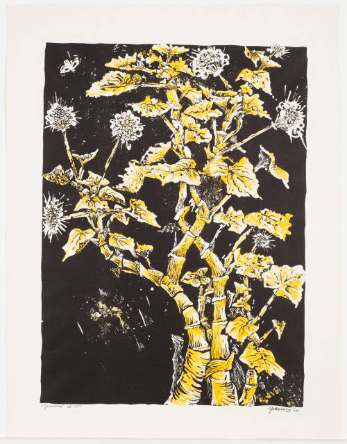 Geranium