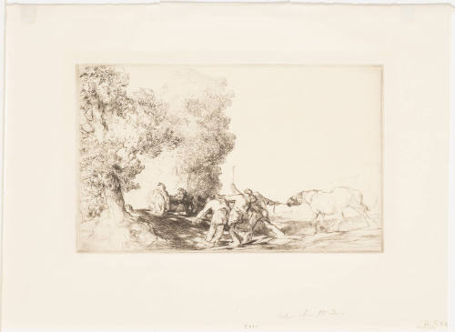 Return from the Fair