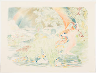 Rainbow [L'arc en ciel]