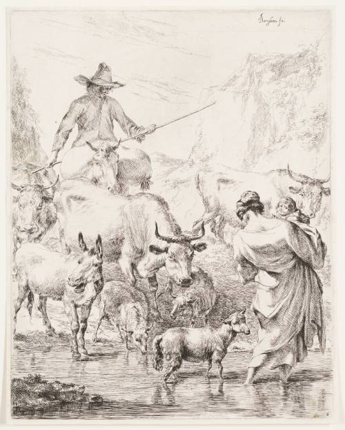 The Herd Crossing the Creek