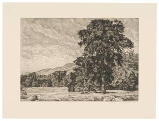 Stony Pasture a Vermont Landscape